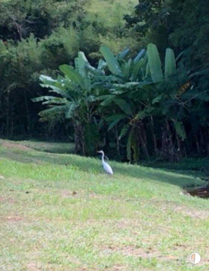 Vivenda Dos Guaranys -Um Projeto Ecologico - Casa Villa กงแซร์วาตอเรีย ภายนอก รูปภาพ