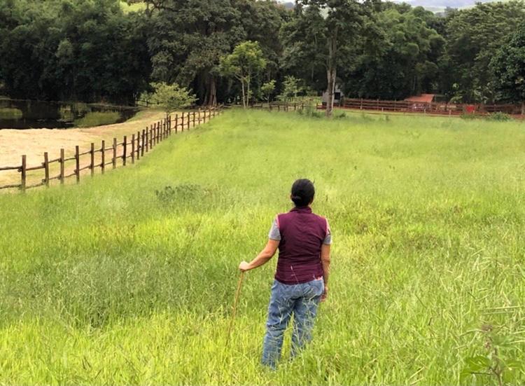 Vivenda Dos Guaranys -Um Projeto Ecologico - Casa Villa กงแซร์วาตอเรีย ภายนอก รูปภาพ
