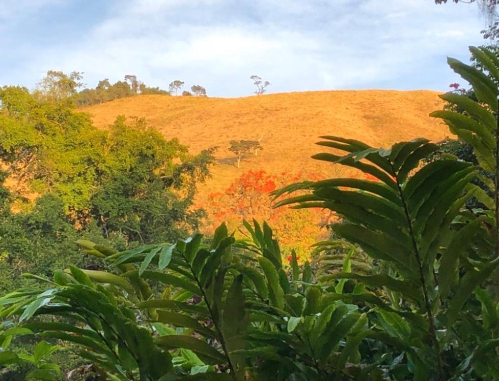 Vivenda Dos Guaranys -Um Projeto Ecologico - Casa Villa กงแซร์วาตอเรีย ภายนอก รูปภาพ